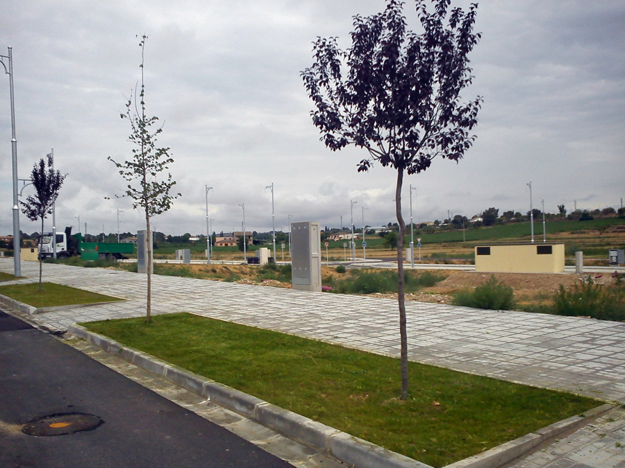 Ejemplo parterre césped + arbolado