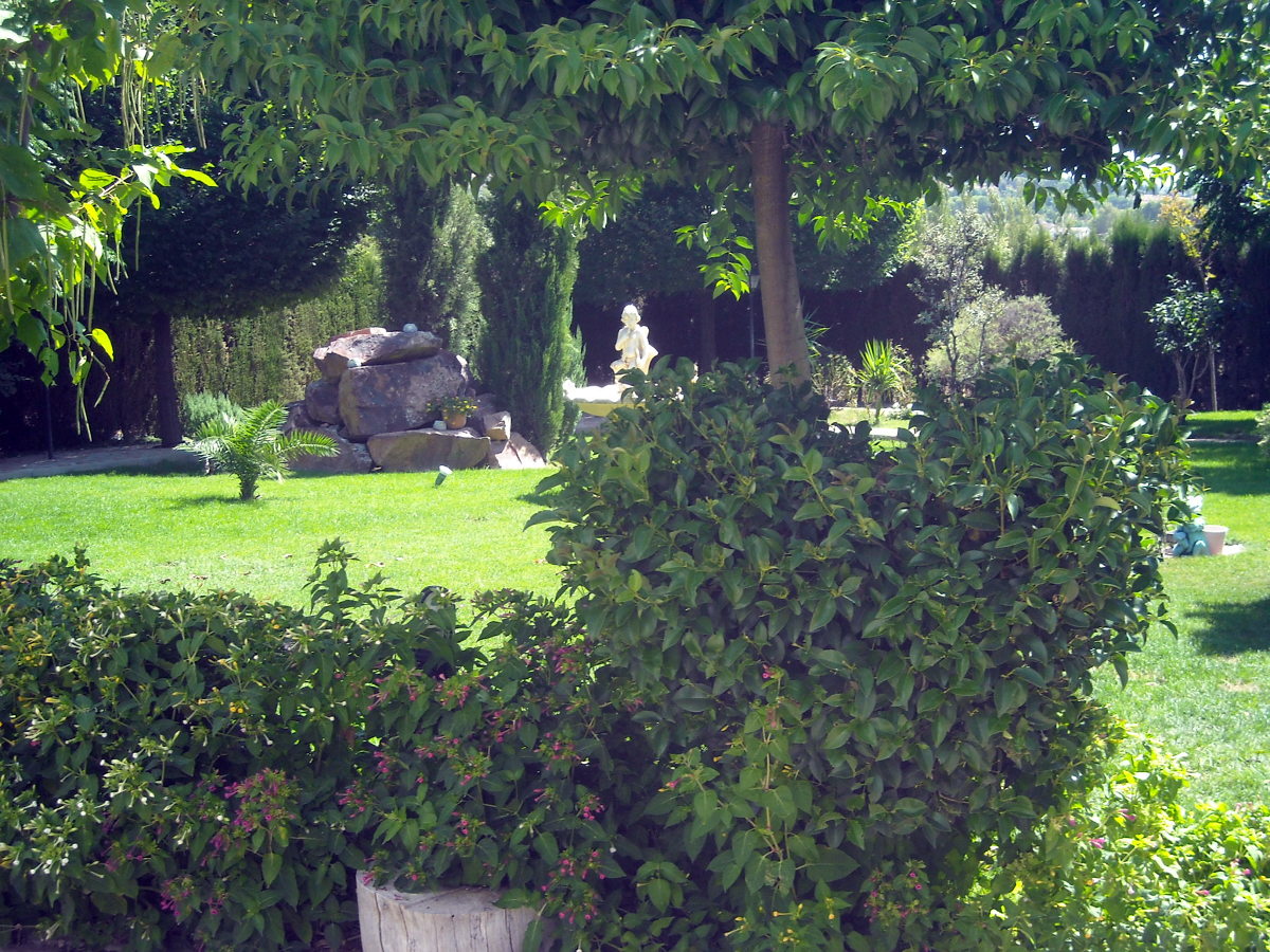 el arte de la poda topiaria