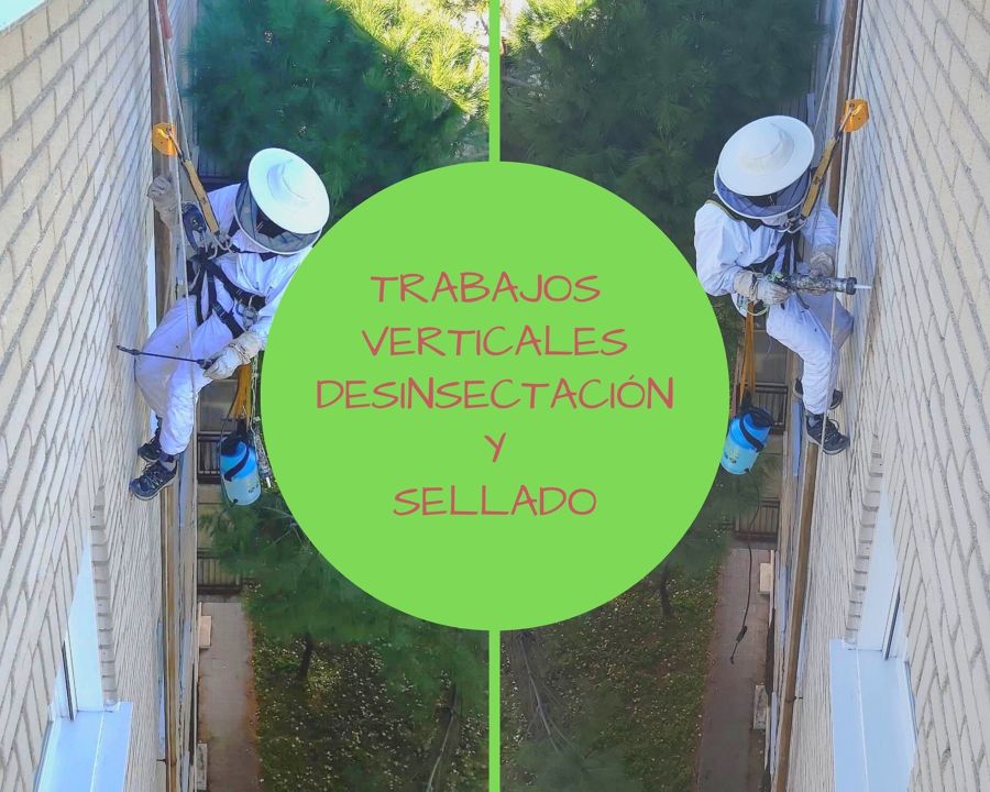 Desinsectación en fachadas