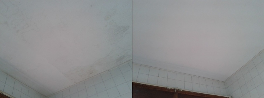 Eliminación de daños por humedad