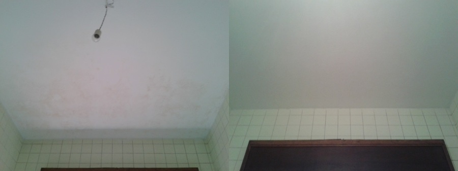 Eliminación de daños por humedad