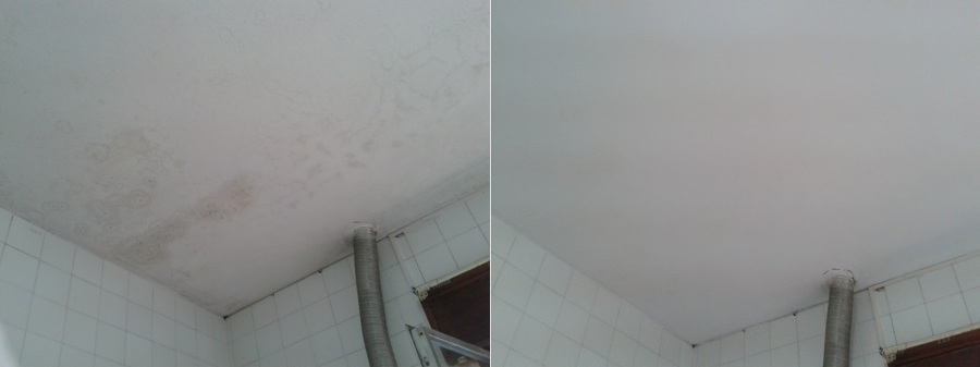 Eliminación de daños por humedad