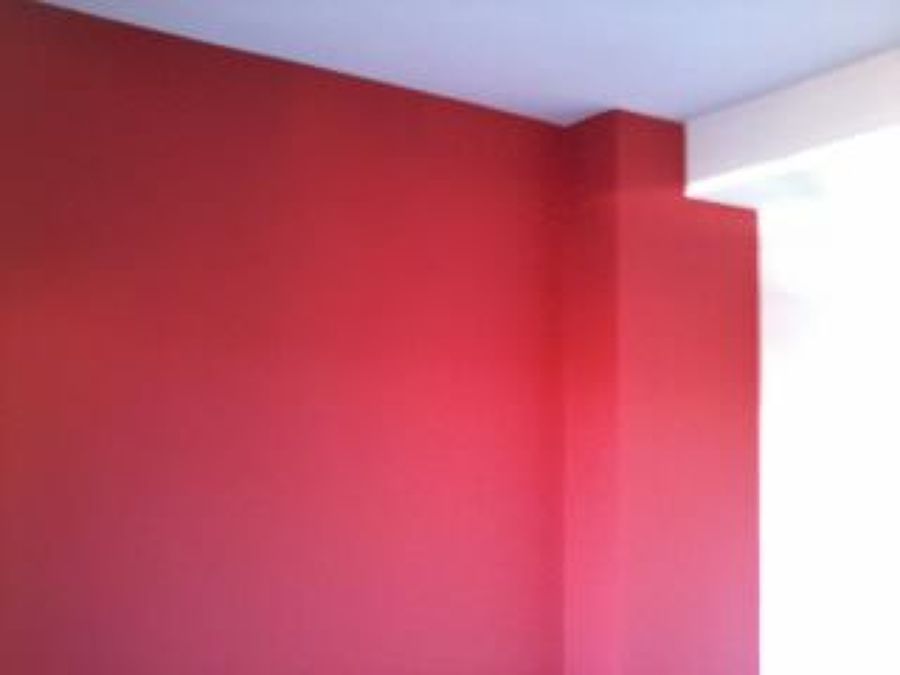 Eliminado de gotele,alisado y pintado