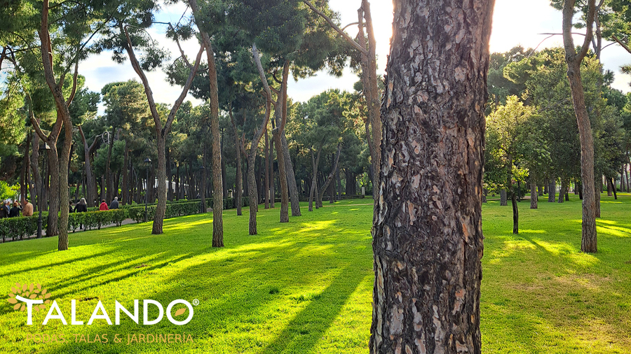 Empresa de jardinería