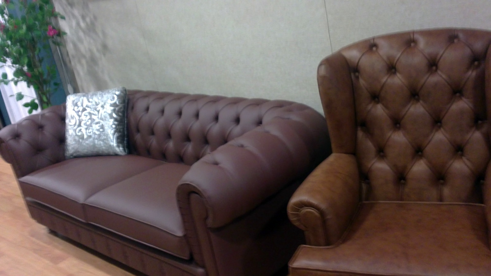 ESPACIALISTAS EN CAPITONE