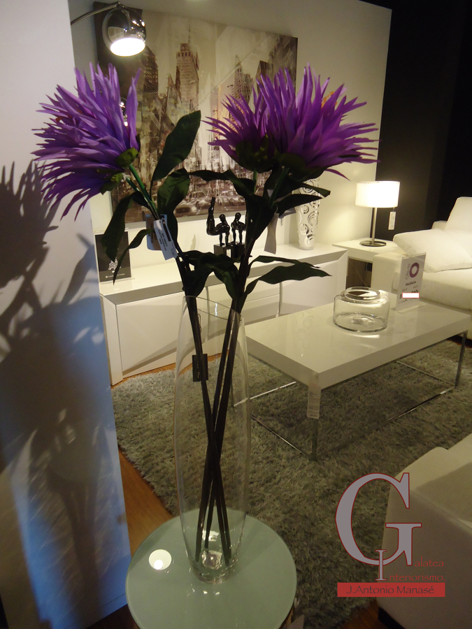 Estancias y Complementos