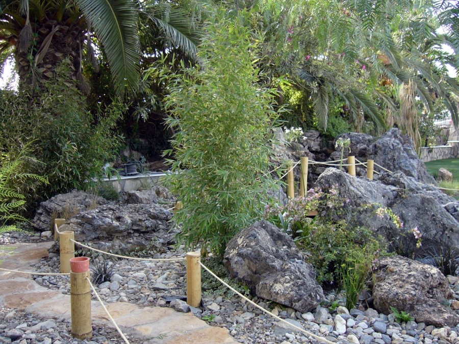 Estanque naturalizado.