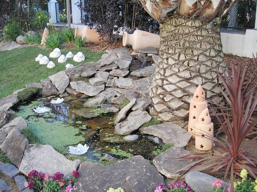 ESTANQUE NATURAL Y DECORACION