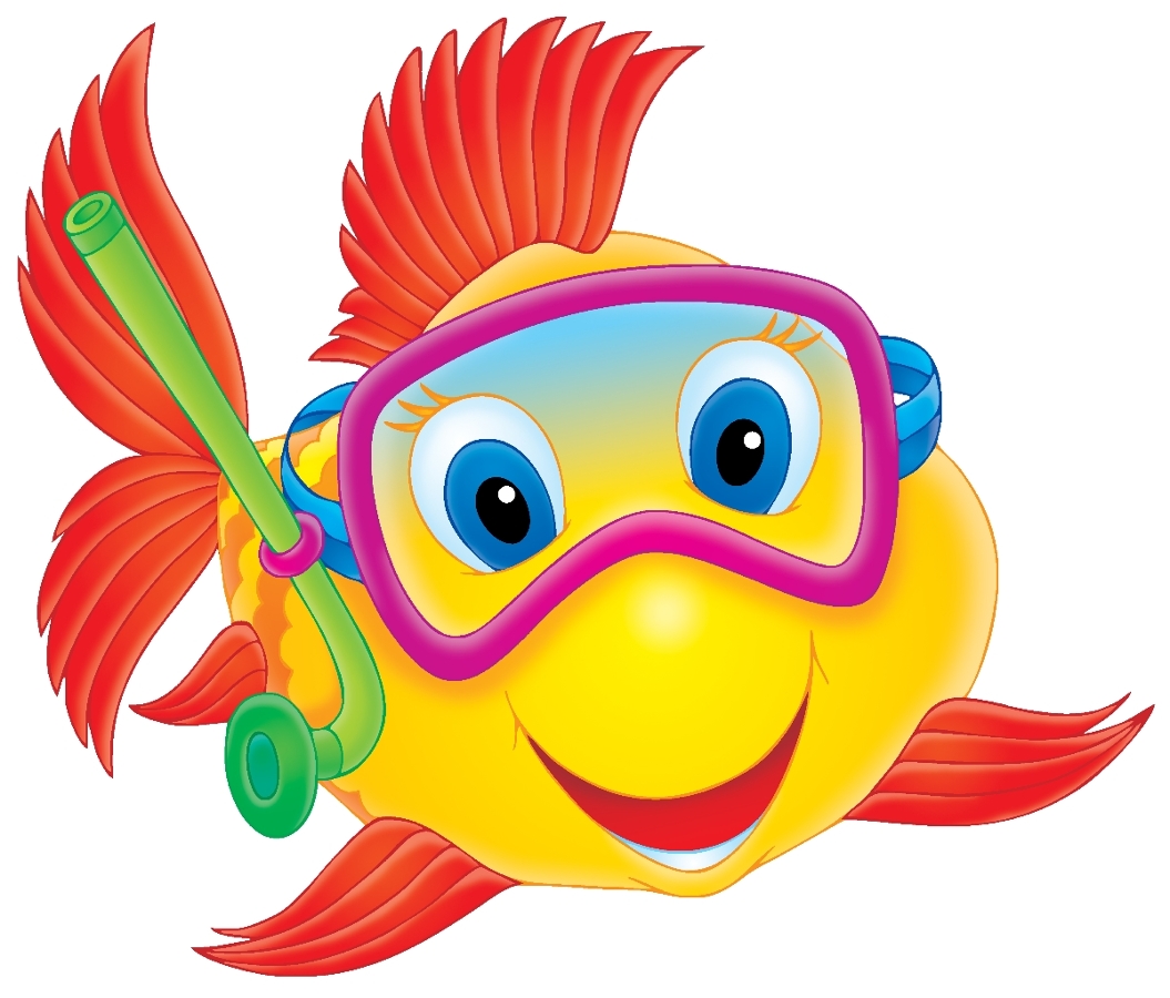 Estor enrollable fotografico