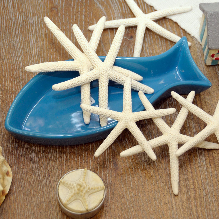Estrellas de mar decorativas.