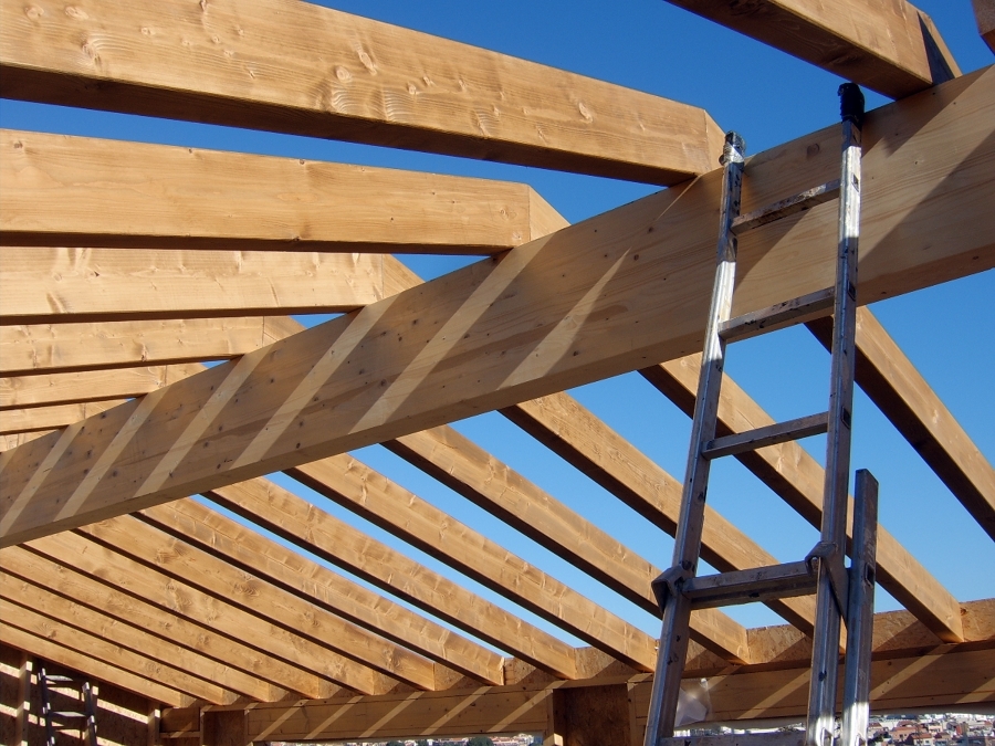 Estructura de tejado 