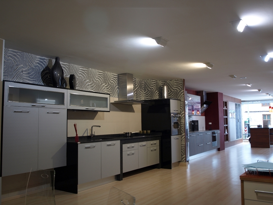 EXPOSICIÓN DE EL ALBERICIA