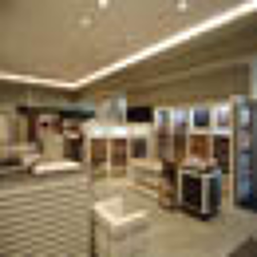 EXPOSICIÓN DE MADERAS