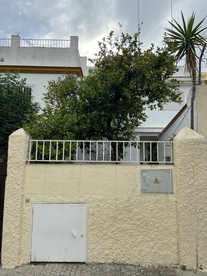 Limonero visto desde la calle
