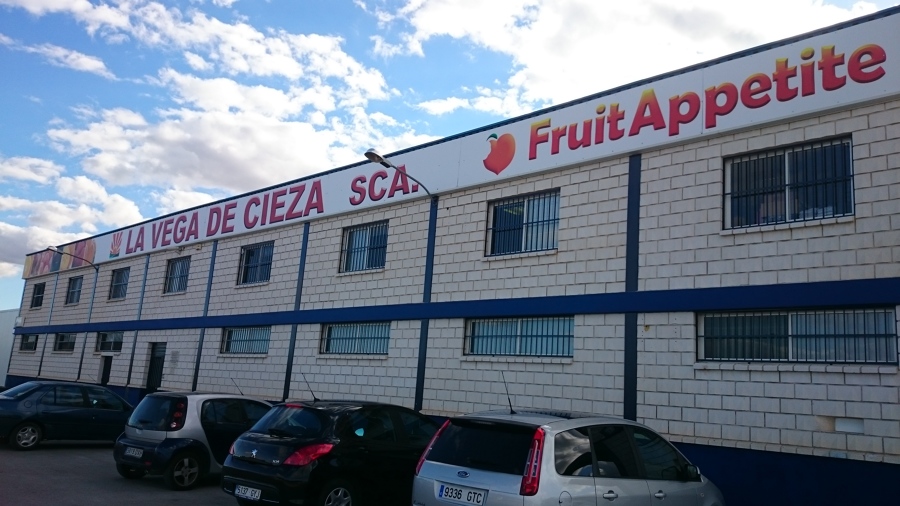 Almacen frutas Cieza