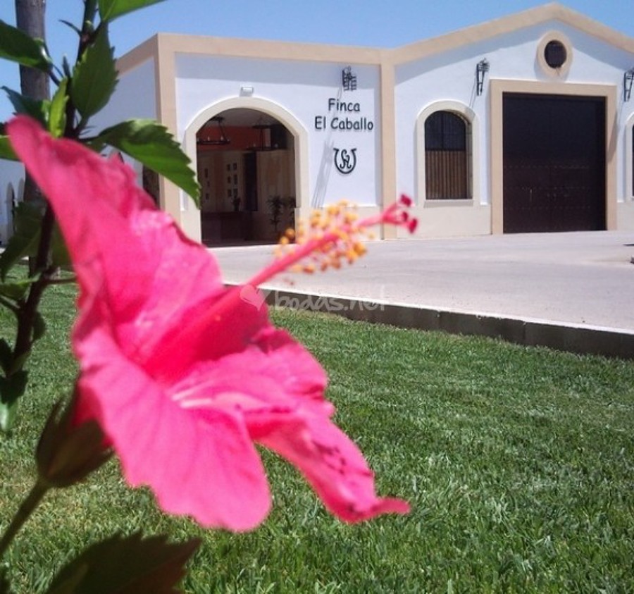 fachada de nave de celebraciones