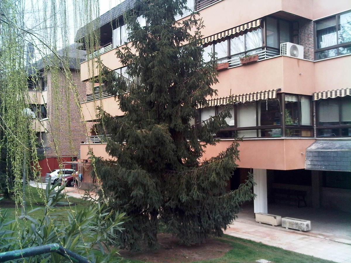 Fachada rehabilitada