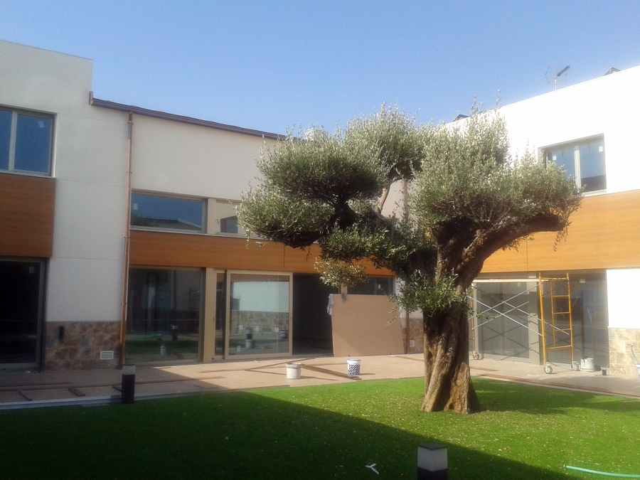 FACHADAS RECAYENTES AL PATIO