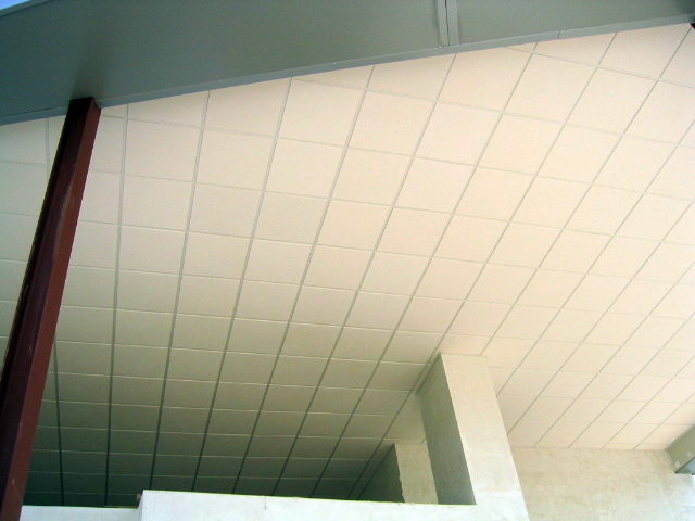 Falso techo de escayola aligerada