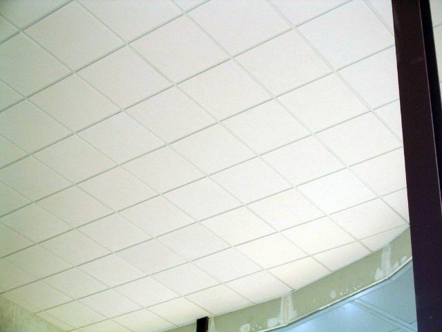 Falso techo de escayola aligerada