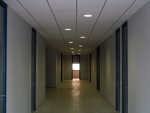 Falso techo de escayola aligerada