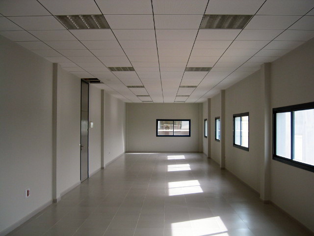 Falso techo de escayola aligerada