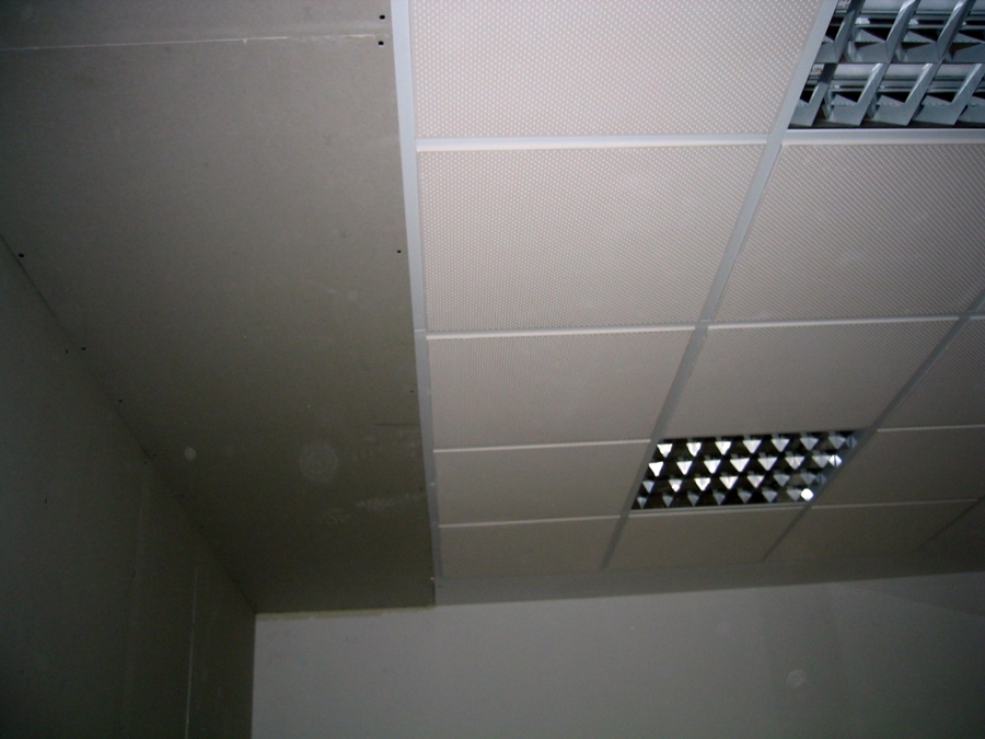 Falso techo de escayola aligerada.