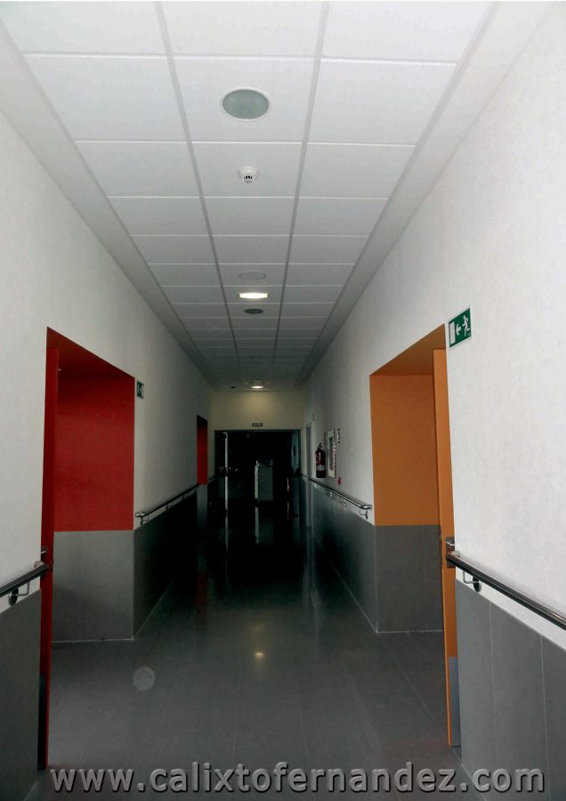 Falso techo escayola