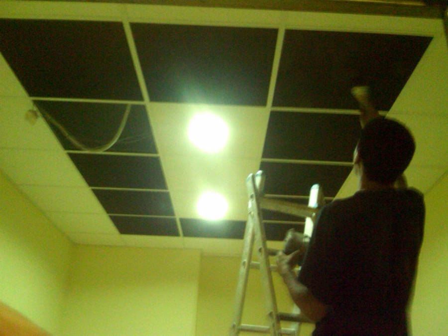 falzos techos decorados