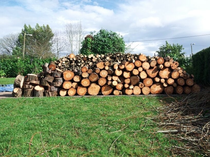 Finalización del Trabajo