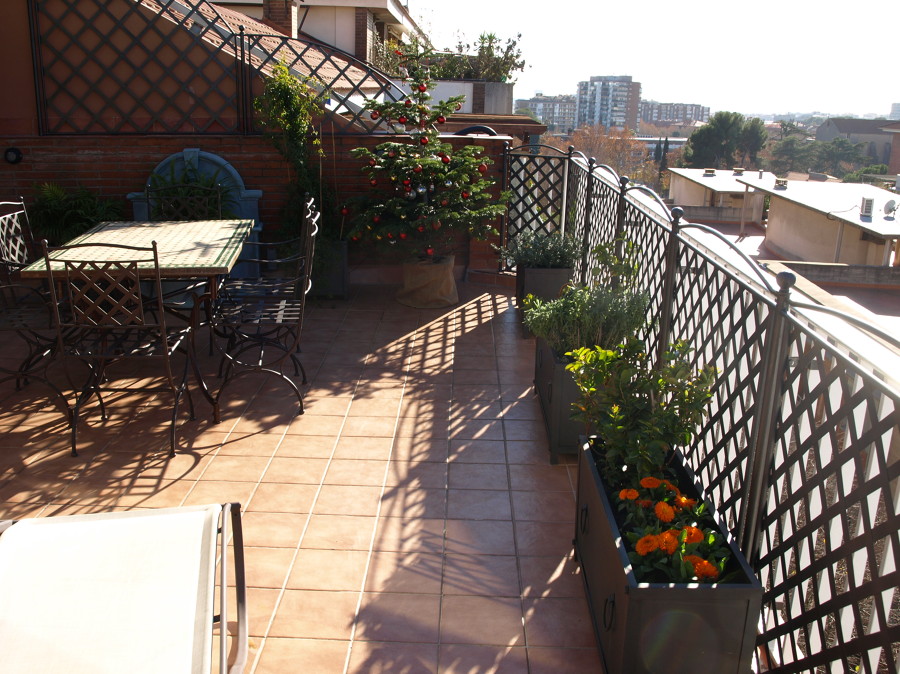 Forja para terraza en Pedralbes , Ballas, Division y jardineras