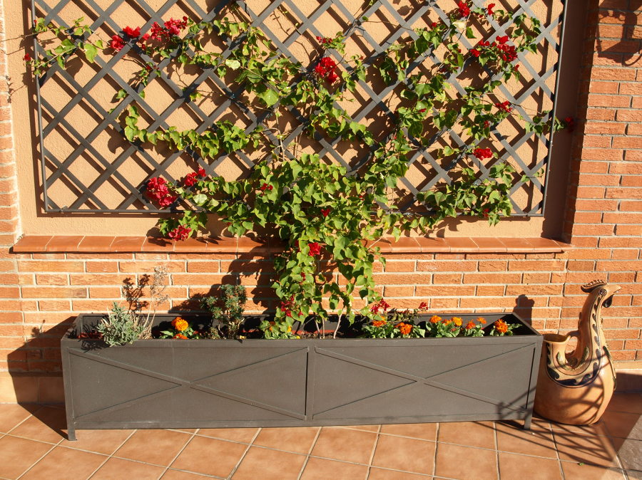 Forja para terraza en Pedralbes , Ballas, Division y jardineras