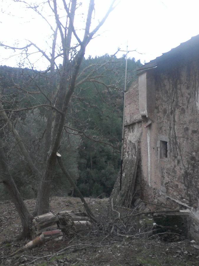 Poda de las ramas de un nogal que tocan la fachada de la vivienda.