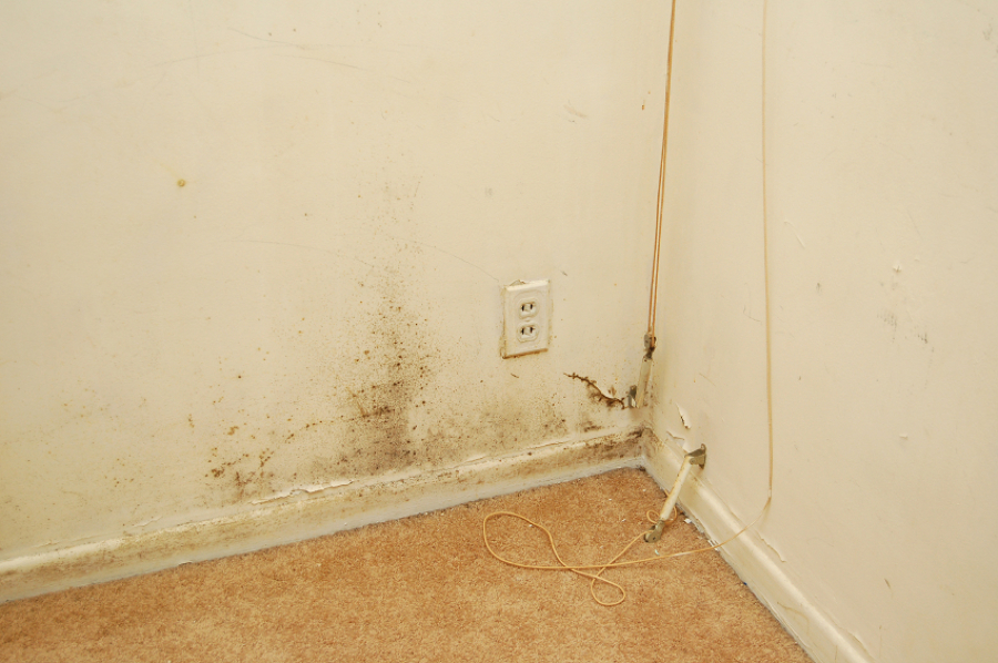 HUMEDAD POR CAPILARIDAD