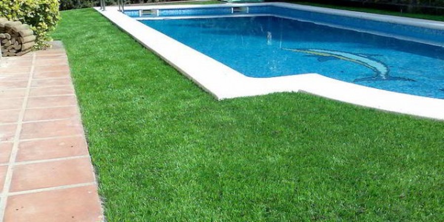 PISCINA Y JARDIN