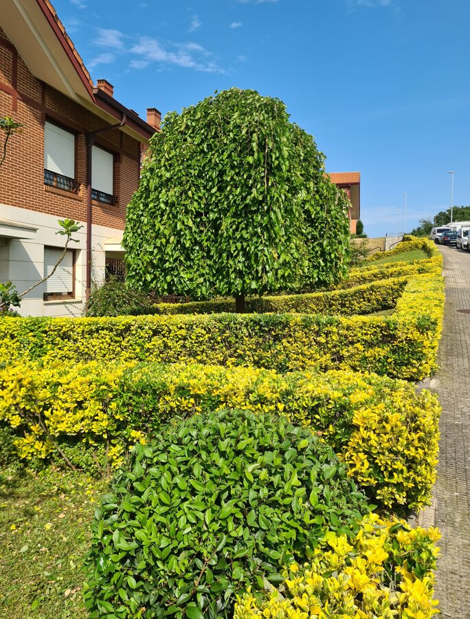 Mantenimuiento de Ubanizaciones privadas