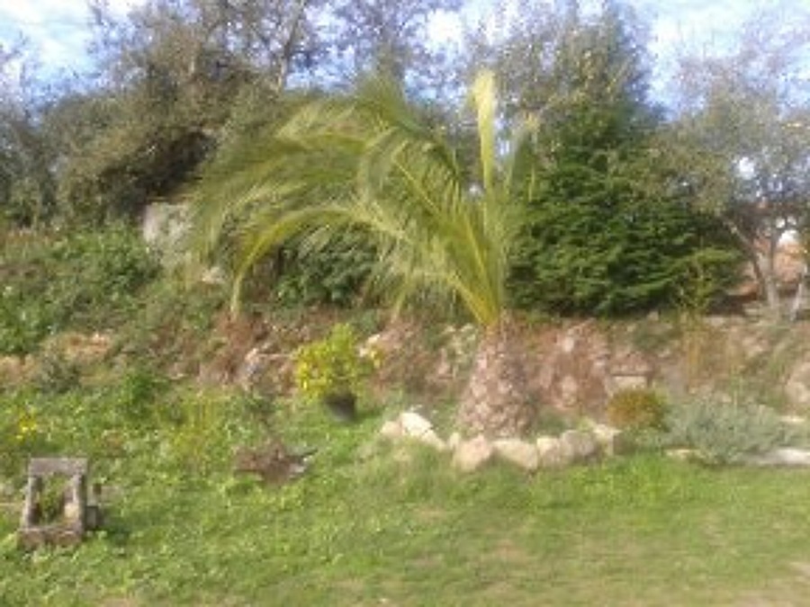 MUESTRA DE ALGUNOS DE NUESTROS TRABAJOS