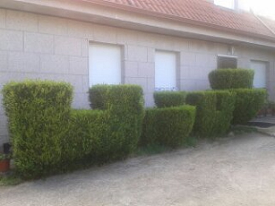 MUESTRA DE ALGUNOS DE NUESTROS TRABAJOS