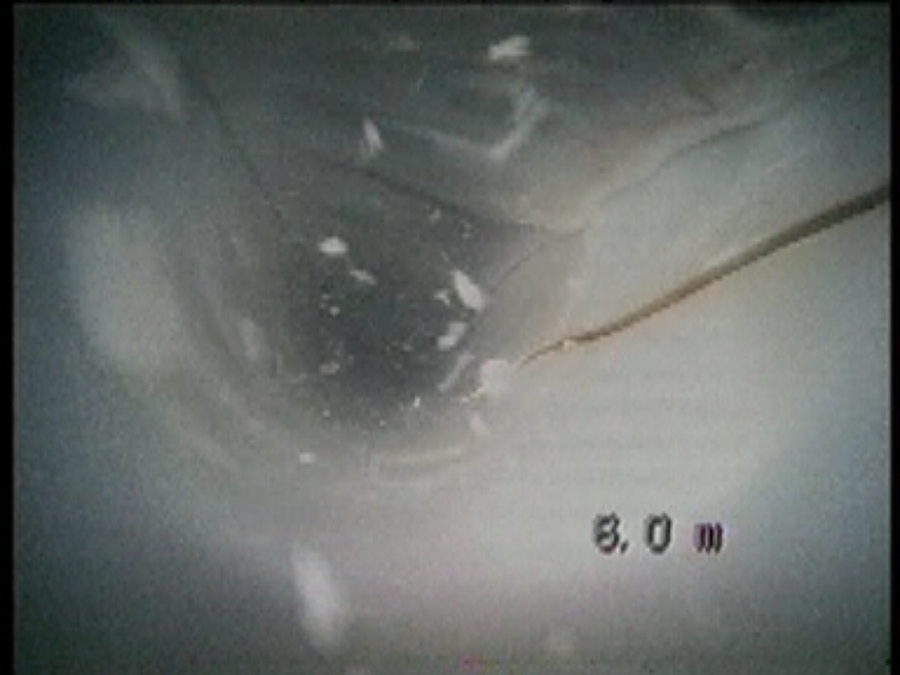 Fotograma tubo fisurado