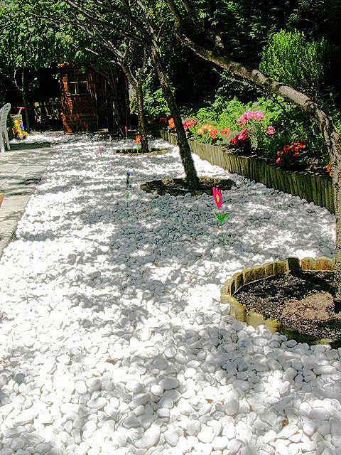 Frutales, aromáticos y flor de temporada