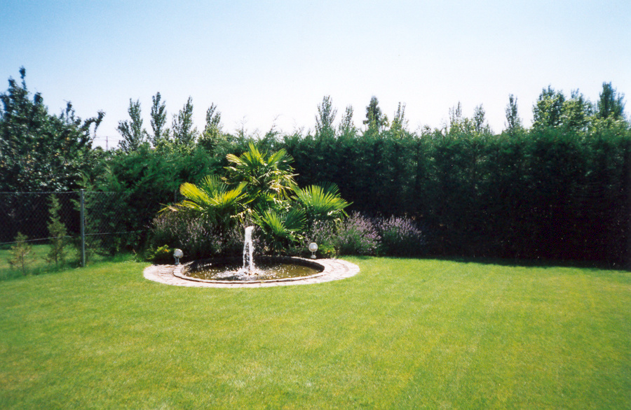 fuente y cesped