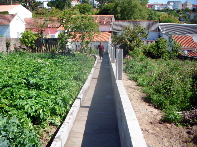 funcion de muro y paso