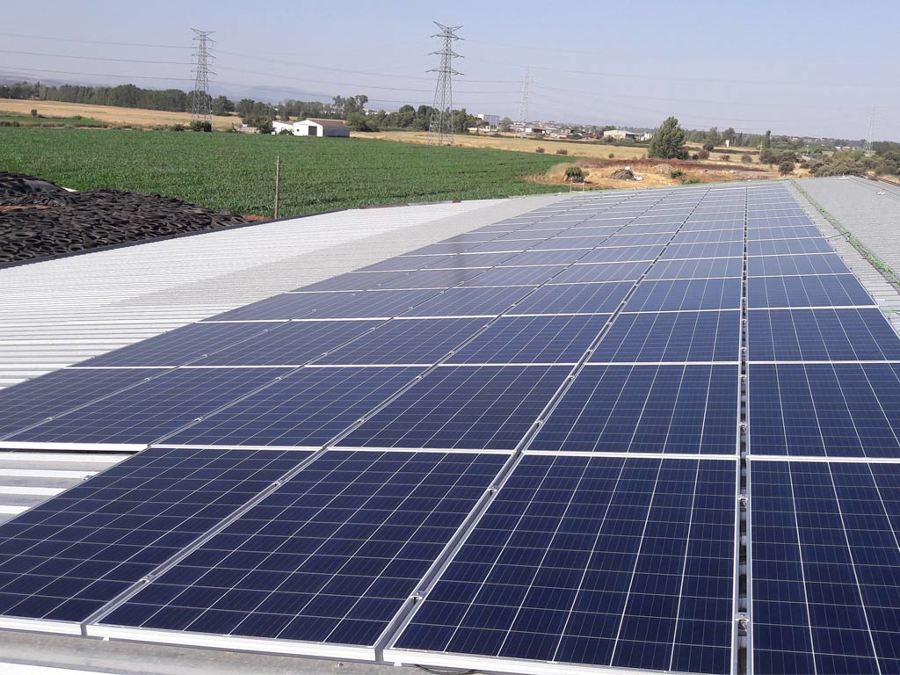 Placas solares en intalacion ganadera 5