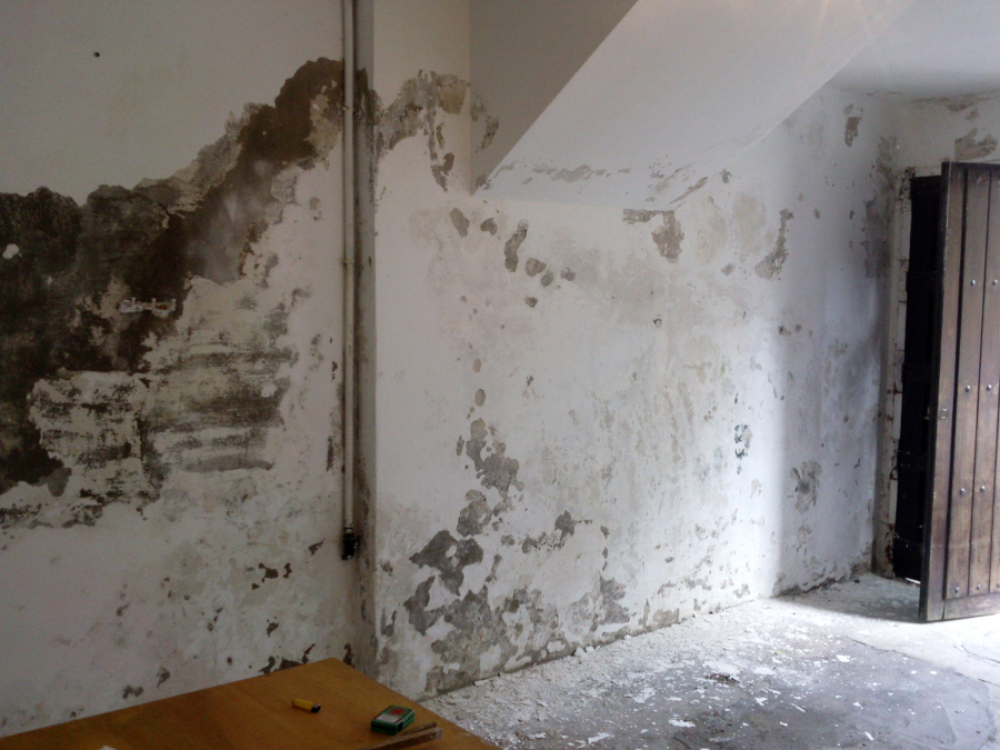 Garaje ,con hongos por humedad