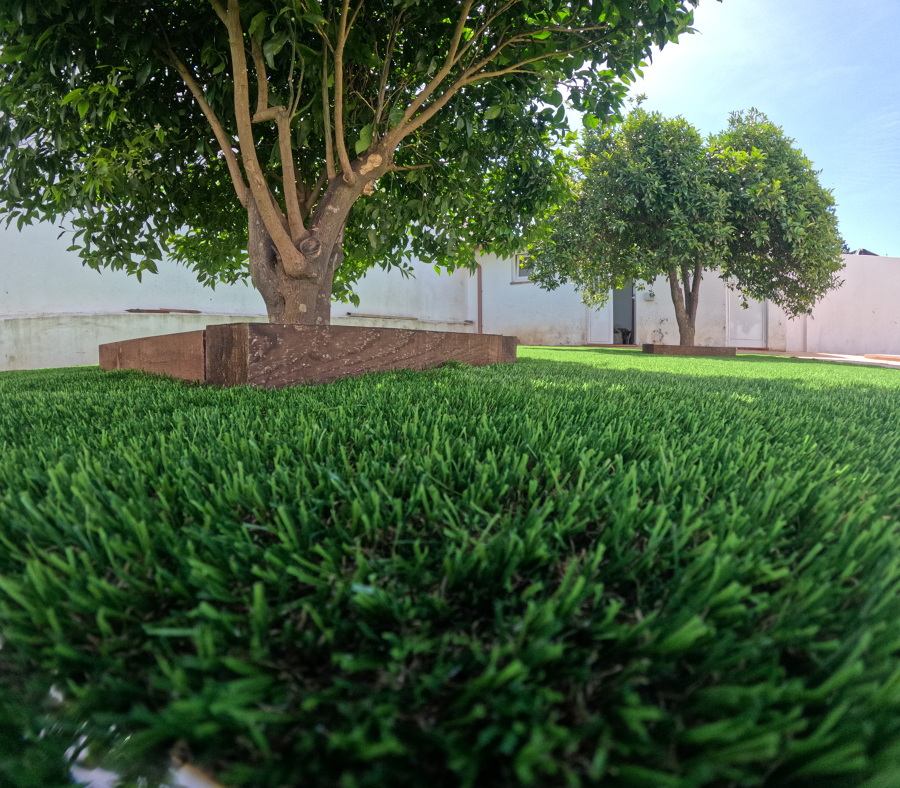 Renovación de jardín