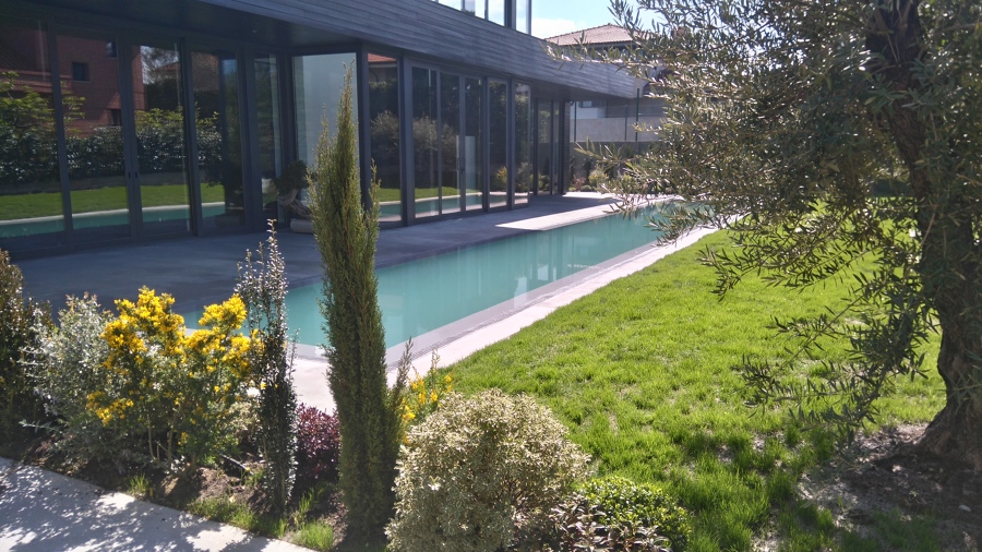 La piscina de Gorka y Eugenia