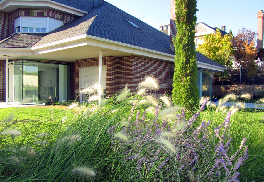 Gramíneas ornamentales en jardín de chalé en las Rozas