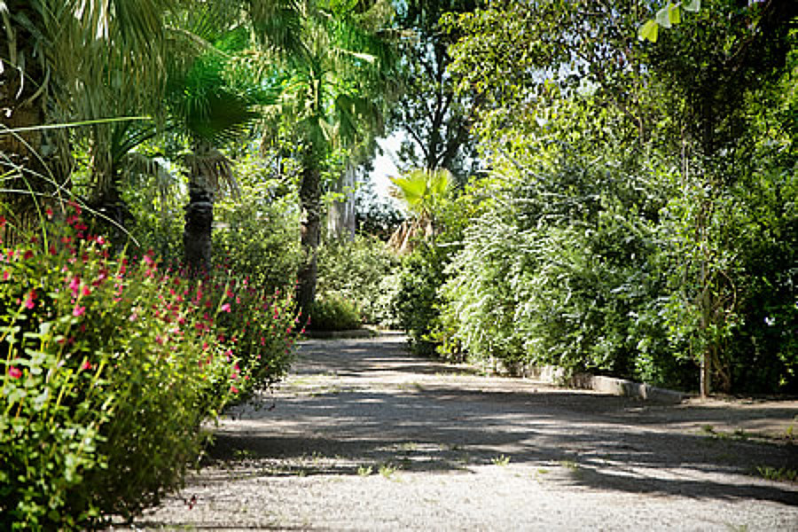 Limpieza y mantenimiento de jardines
