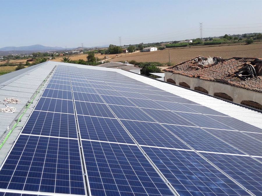 Placas solares en intalacion ganadera 3