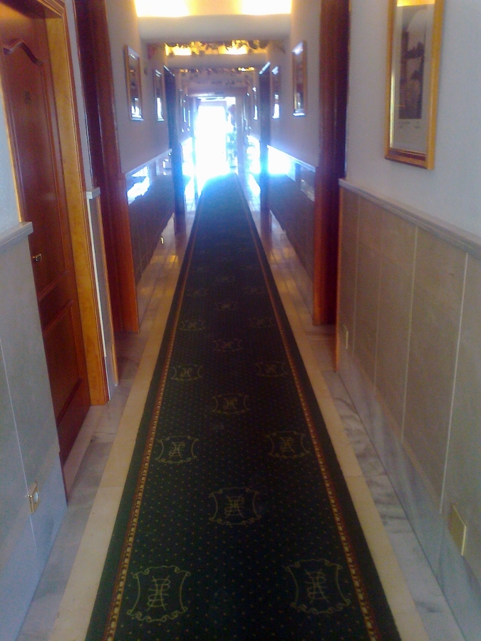 Hotel Balcón de Europa (Nerja)